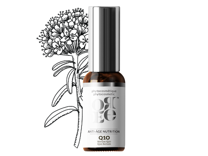 Sérum Q10 pour une peau régénérée et tonifiée.